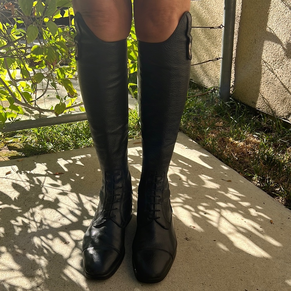 Tricolore Equestrian Show Boots